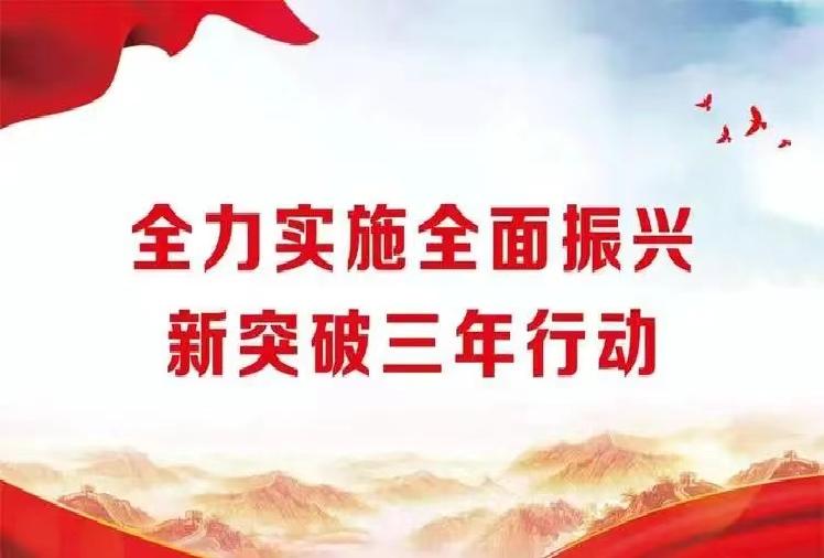 全力实施全面振兴新突破三年行动